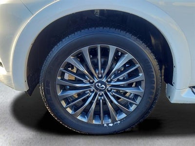2024 INFINITI QX80 Sensory