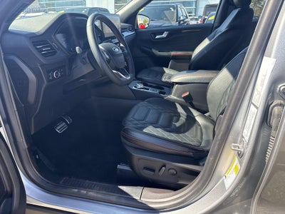 2023 Ford Escape Hybrid ST-Line Elite