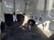 2022 Ford Transit-250 Base