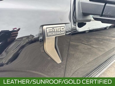 2023 Ford F-150 Platinum