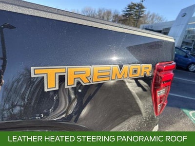 2024 Ford F-150 Tremor
